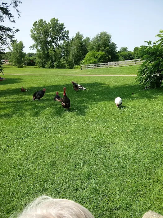 Camp Turkeyville RV Resort Picture 7