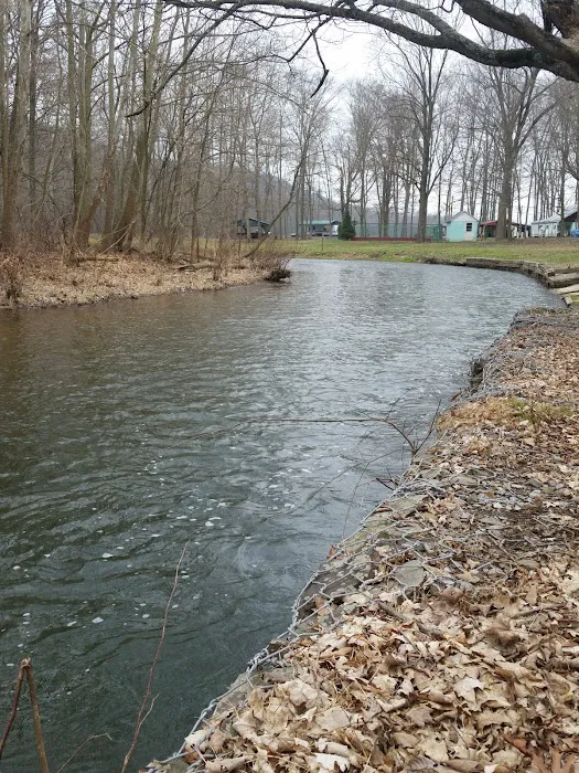 Shellbark Campground Picture 3