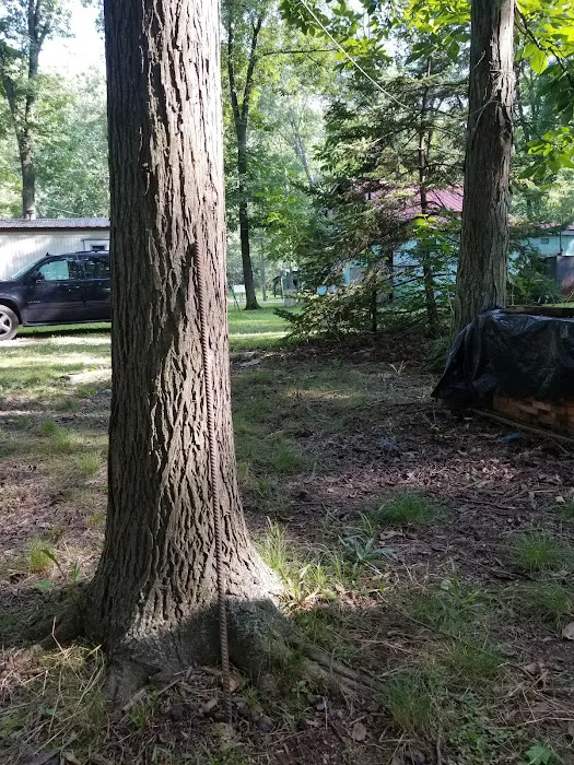 Shellbark Campground Picture 5
