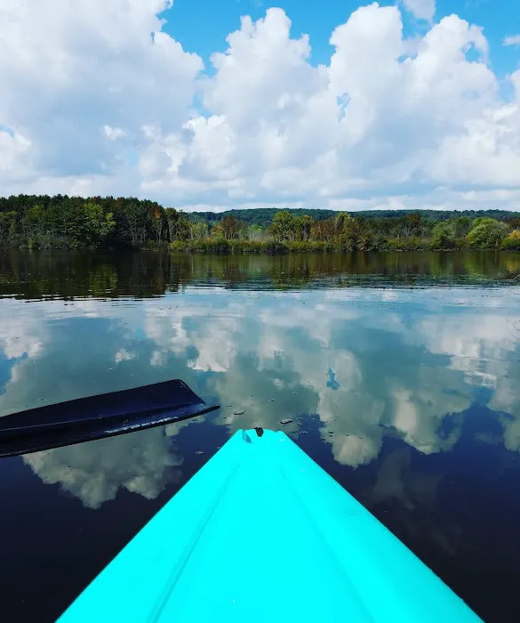 Shawnee State Park Campground Picture 8