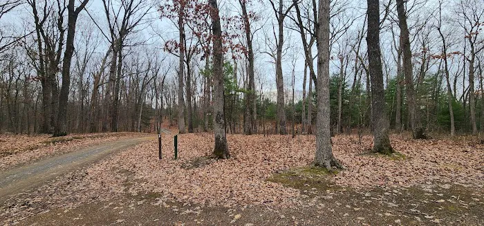 Campsite # 5 Picture 10