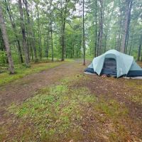 Green Ridge State Forest Campground #4 ico