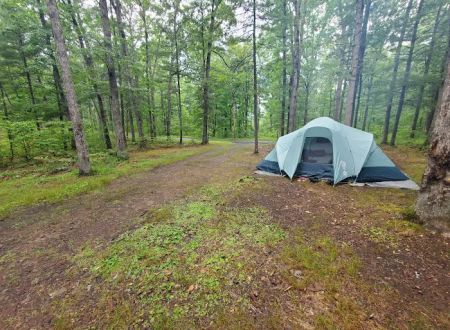Green Ridge State Forest Campground #4