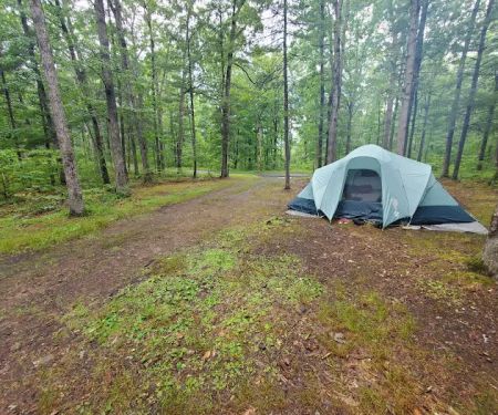 Green Ridge State Forest Campground #4