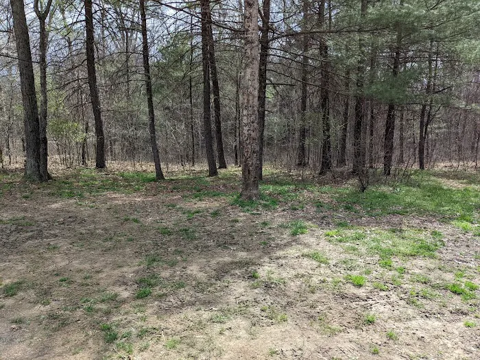 Green Ridge State Forest Camp Site #6 Picture 8