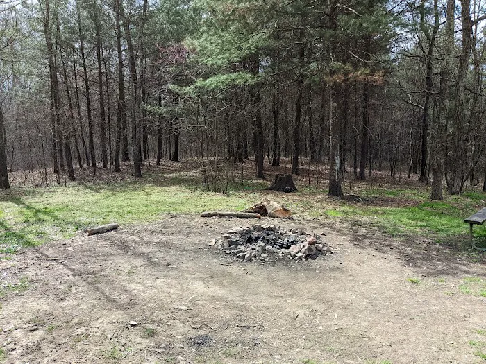 Green Ridge State Forest Camp Site #6 Picture 4