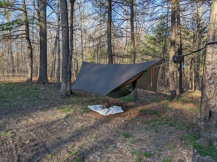 Green Ridge State Forest Camp Site #6 Picture 9