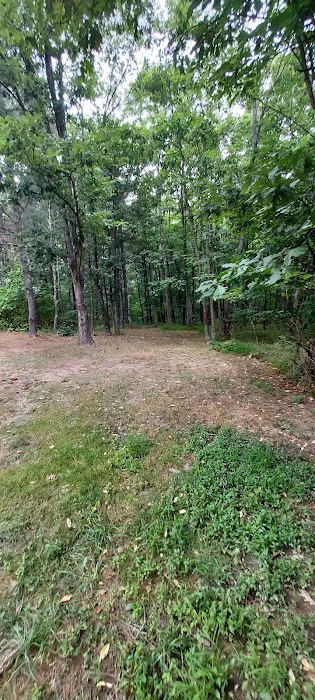 Green Ridge State Forest Campsite 23 Picture 3