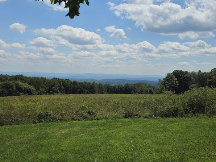 Blue Knob State Park Campground Picture 9