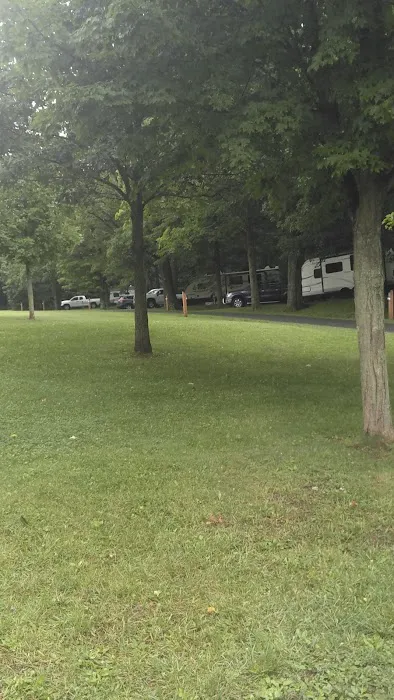 Blue Knob State Park Campground Picture 2