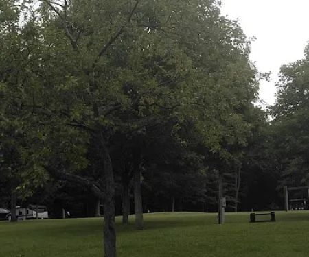 Blue Knob State Park Campground