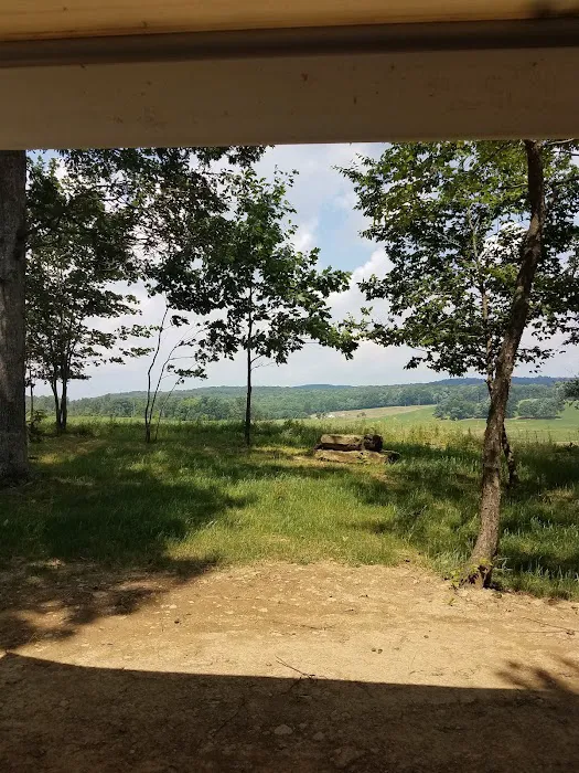 Countryside Campground LLC Picture 10