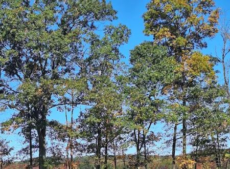 Countryside Campground LLC