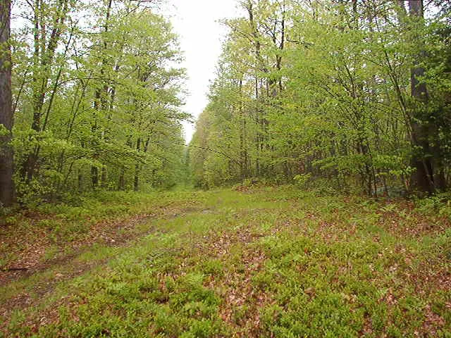 Decker Shelters Picture 5