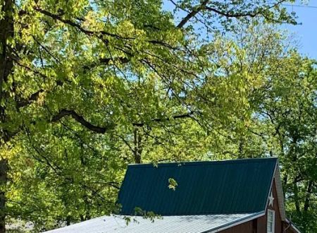 Yellow Creek Campground