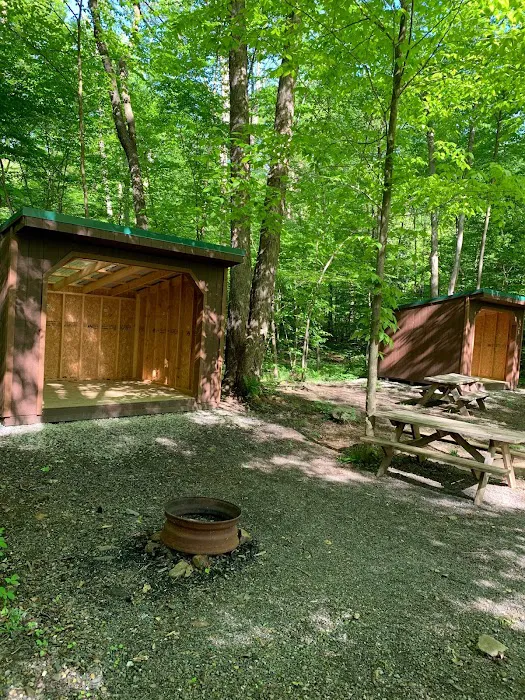 Yellow Creek Campground Picture 5