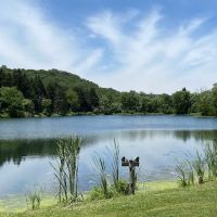 Mirror Lake Campground ico