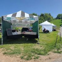 Frost Ridge Park ico