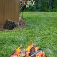 Timberline Lake Park Camping ico