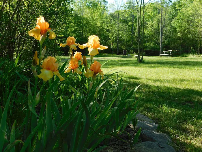 Cherry Hill Campground Picture 9