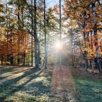 Plum Bottom Creek Campground's now Plum Good Campground ico
