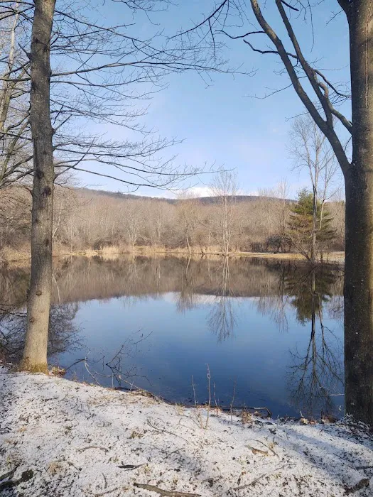 Plum Bottom Creek Campground's now Plum Good Campground Picture 3