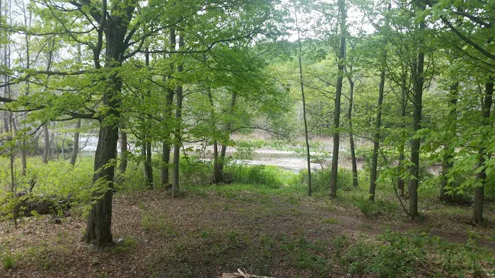 Riverside Park Campground Picture 10
