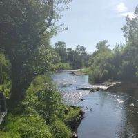 Mockingbird Park ico