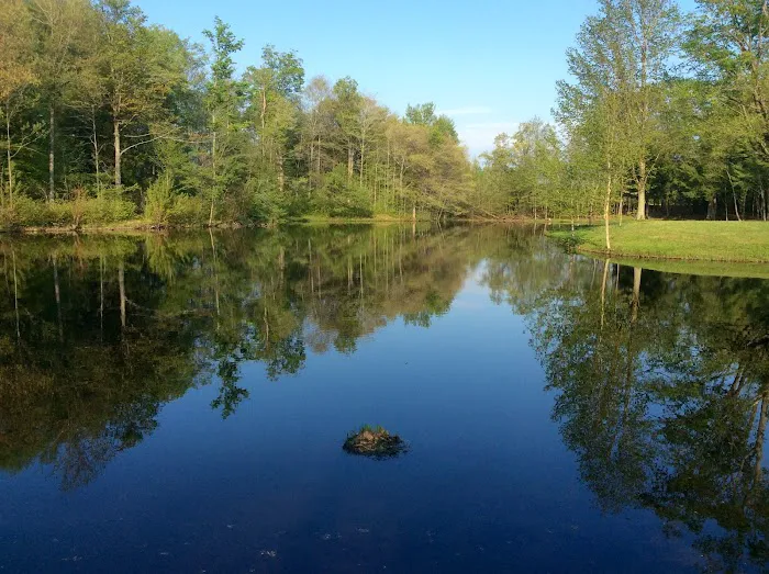 Beaver Meadow Family Campground Picture 8