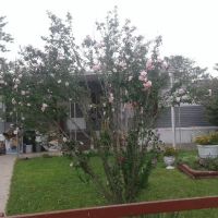 Countyline Mobile Home Park ico
