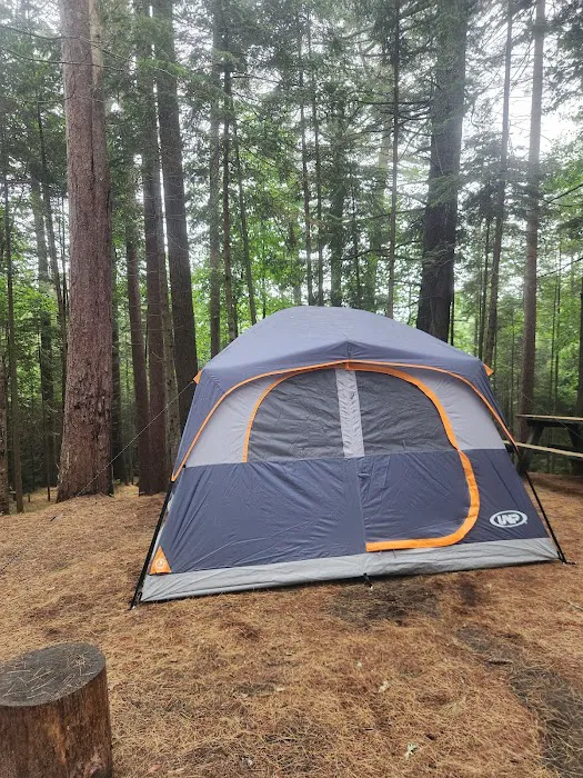 Meadowbrook Campground Picture 2