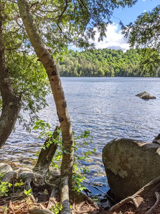 Eastern Shore Campground, Copperas Pond Picture 10