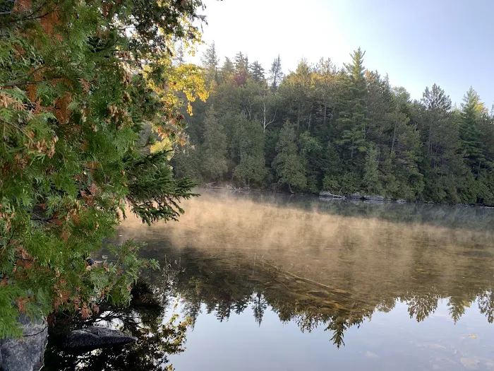 Eastern Shore Campground, Copperas Pond Picture 7