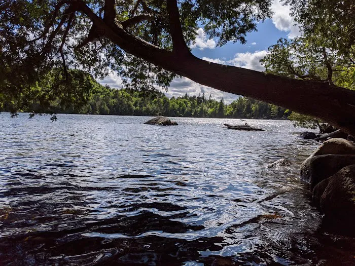 Eastern Shore Campground, Copperas Pond Picture 6