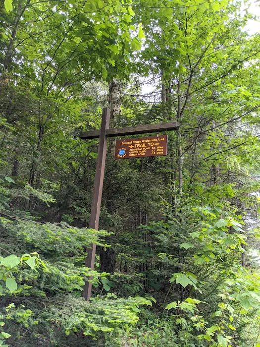 Eastern Shore Campground, Copperas Pond Picture 9