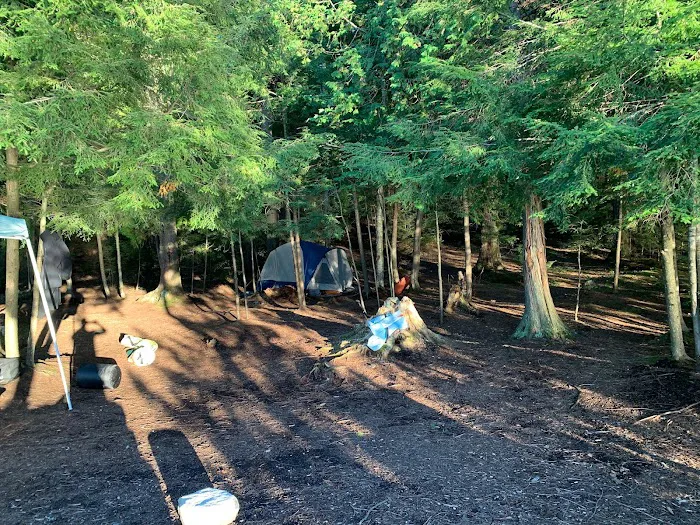 Saranac Lake Islands Campground - Campsite #58 Picture 7