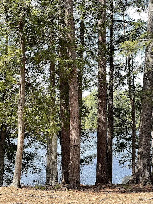 Saranac Lake Islands Campground - Campsite #6 Picture 5