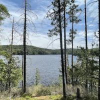 Saranac Lake Islands Campground - Campsite #6 ico
