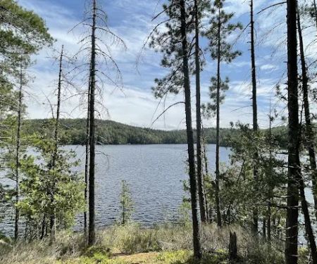 Saranac Lake Islands Campground - Campsite #6