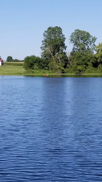 Shady Haven Resort Picture 8