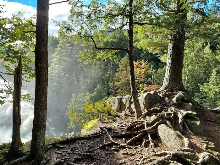 Wilmington Notch Campground Picture 6