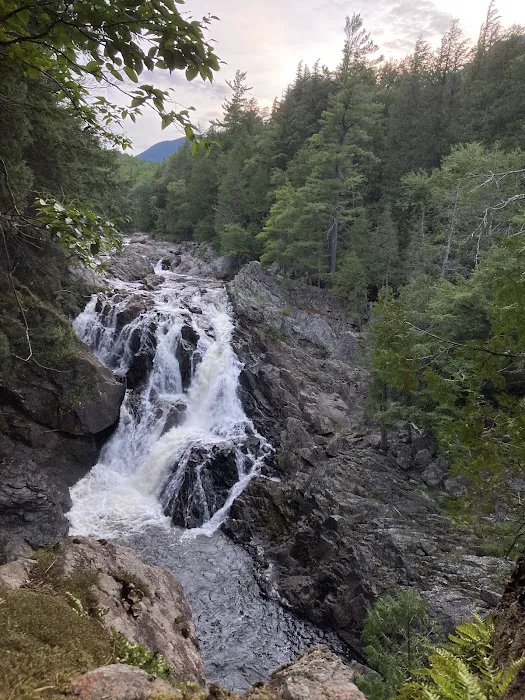 Wilmington Notch Campground Picture 4