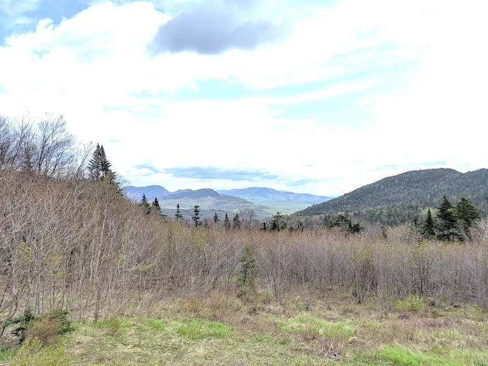 Passaconaway Campground Picture 5