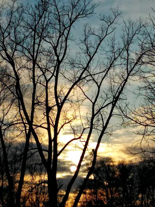 Countryside Mobile Home Park Picture 2