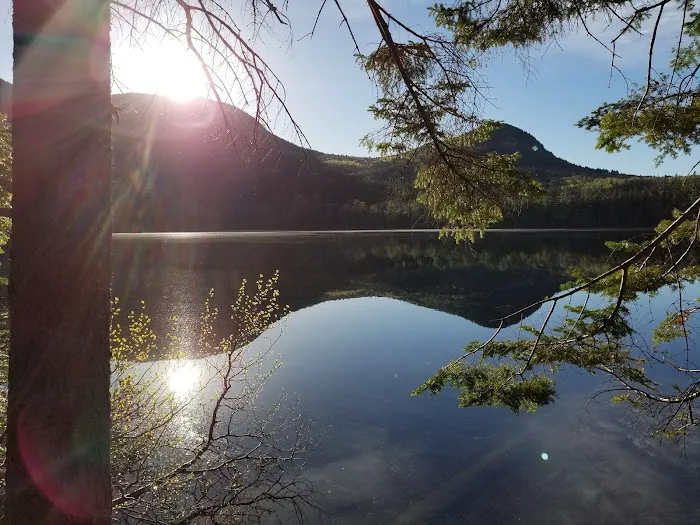 Sawyer Pond Shelter & Tentsite Picture 3