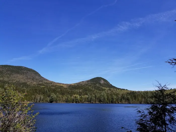 Sawyer Pond Shelter & Tentsite Picture 6