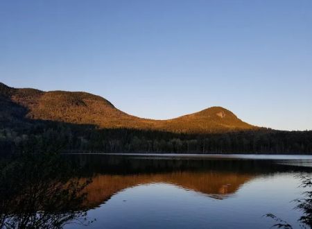 Sawyer Pond Shelter & Tentsite