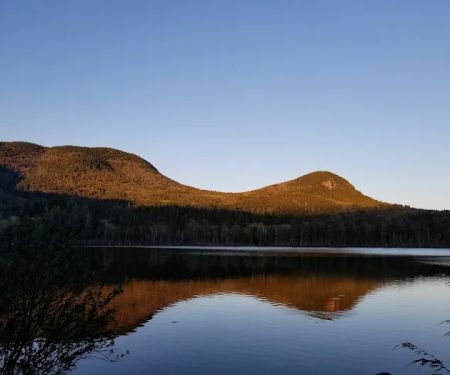 Sawyer Pond Shelter & Tentsite