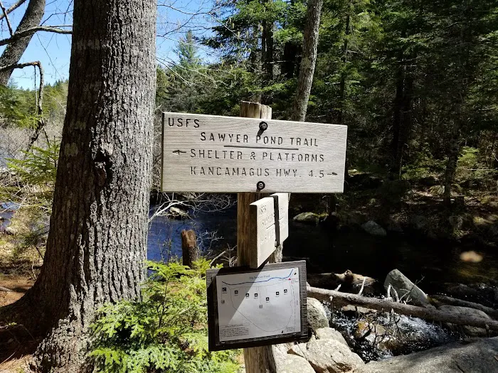 Sawyer Pond Shelter & Tentsite Picture 5