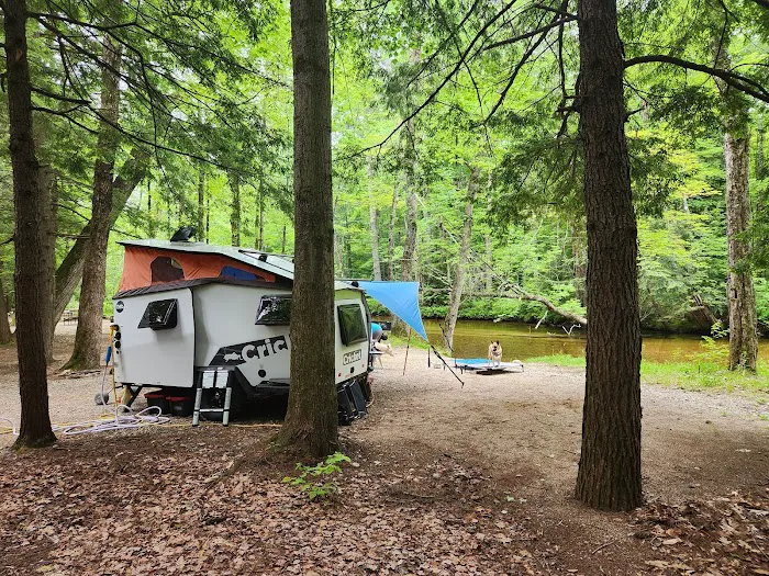 Tamworth Campground (A Modern America Campground) Picture 9